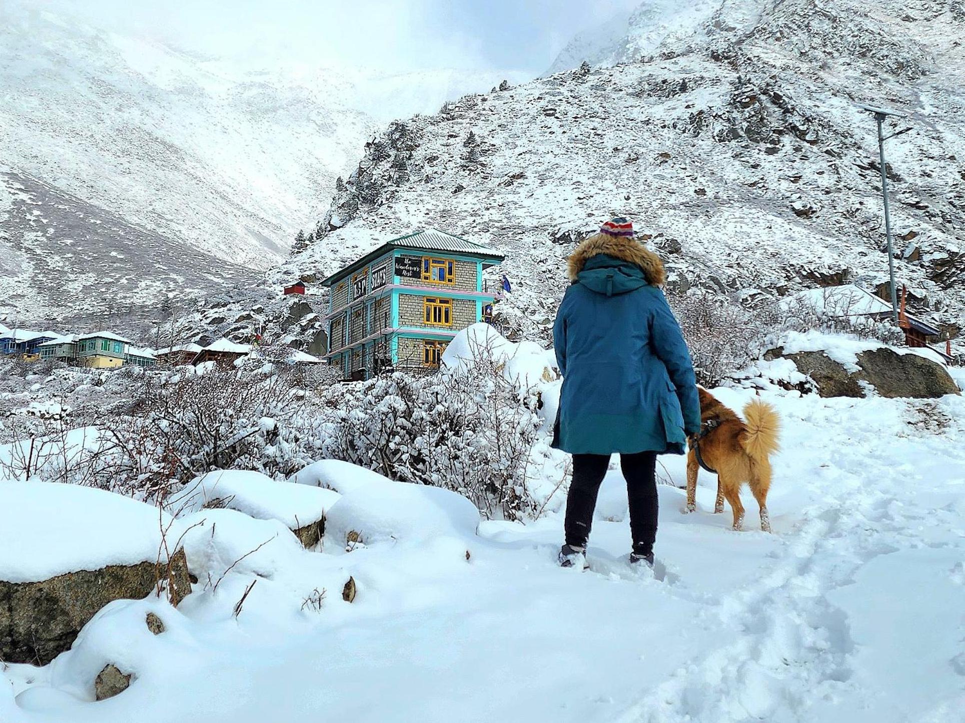 Lap Stays - Wanderer'S Nest Chitkul エクステリア 写真